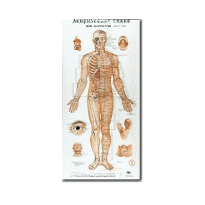 Acupuncture Points Charts, Set of 4, Wall,  54 x 110