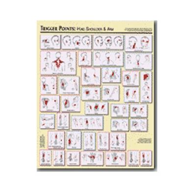 Trigger Point Charts (2)