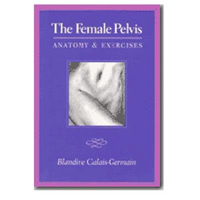 Female Pelvis - Anatomical