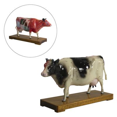 Cow Model