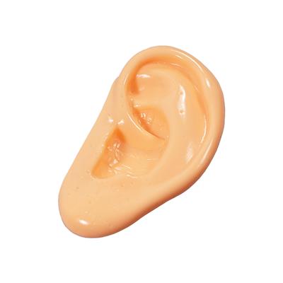 Ear Model - Blank without mark