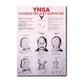 Yamamoto New Scalp Acupuncture Chart